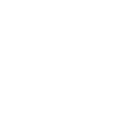 Blog TNS